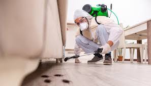 Best Emergency Pest Control  in Mount Zion, IL